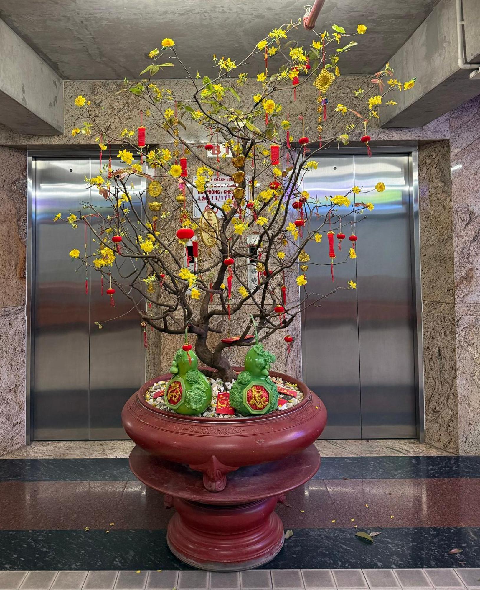 Thien Tai Hotel Ho Chi Minh City Exterior photo